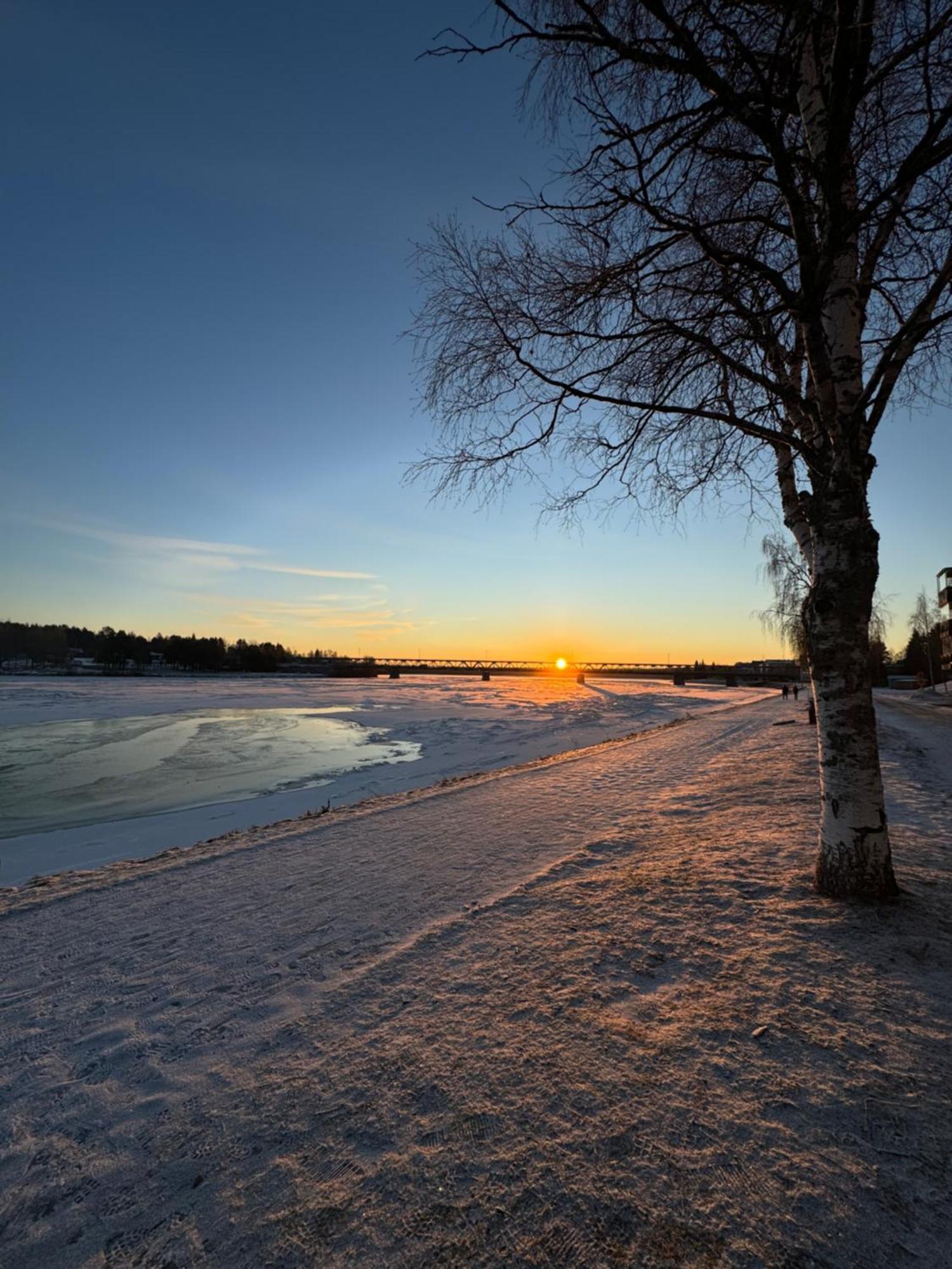 Northern Lights River Rovaniemi Extérieur photo