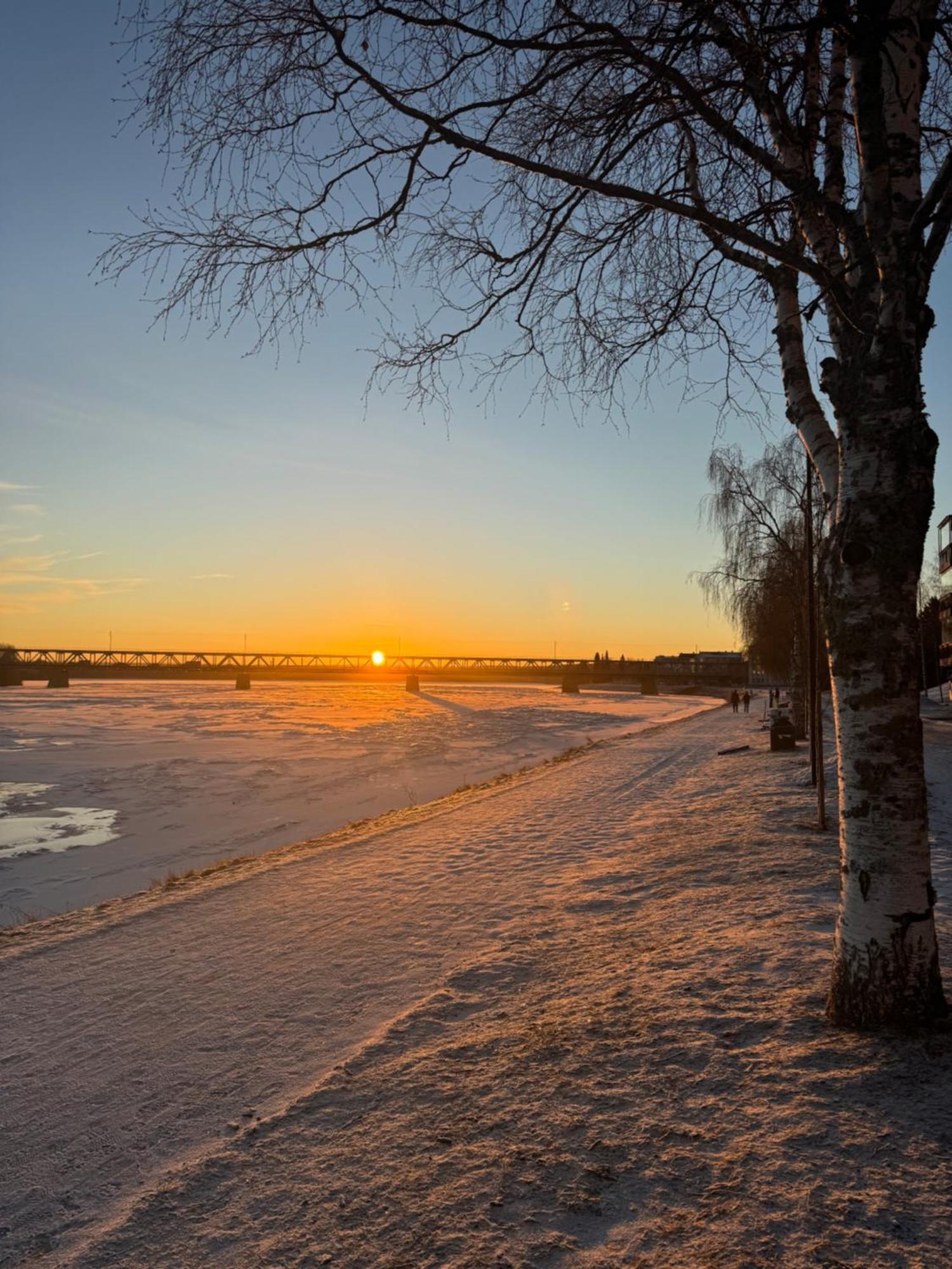 Northern Lights River Rovaniemi Extérieur photo